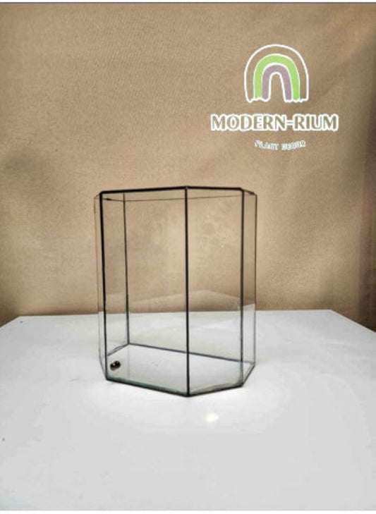 DIY Terrarium kit - Verdant Facade