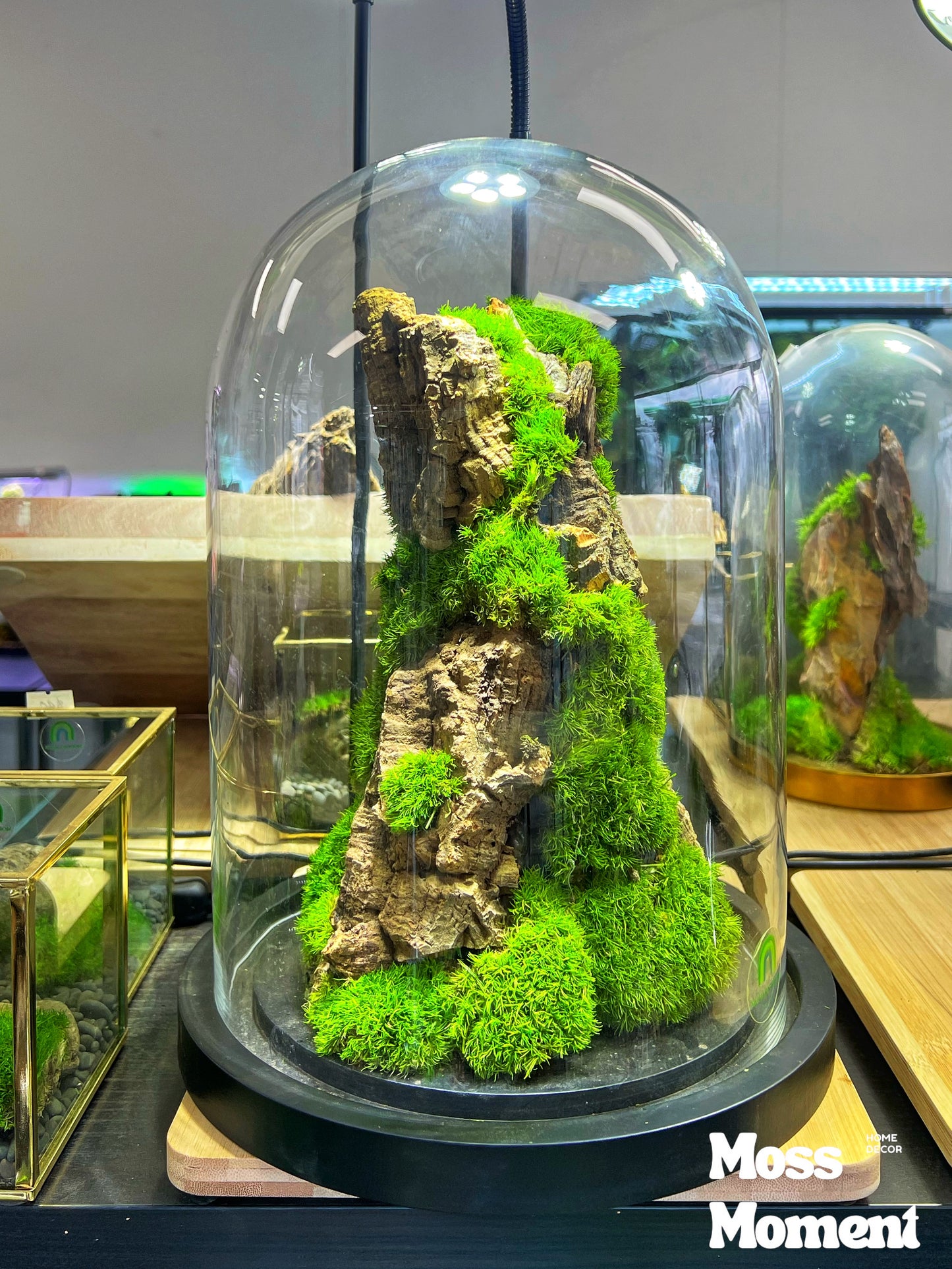 Moss Art - Zero maintenance dome mossy mountain