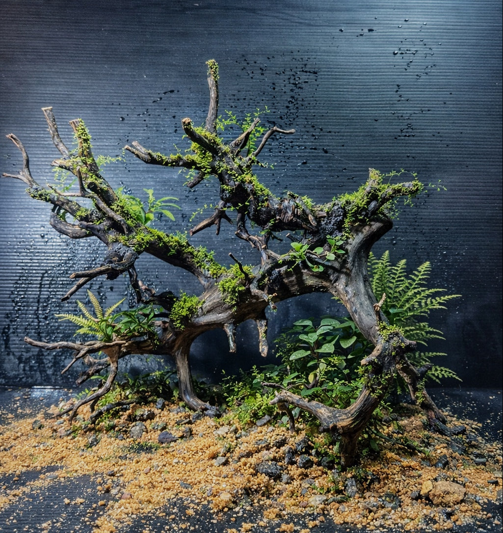 Wicked Forest - Aquarium Module - Biotop style