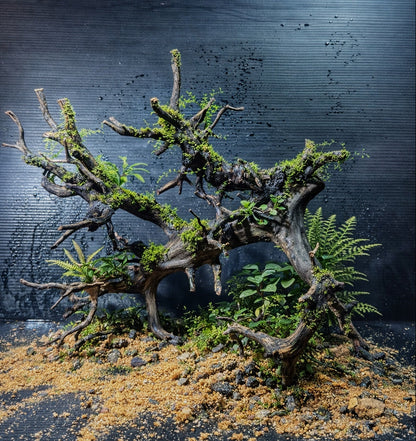 Wicked Forest - Aquarium Module - Biotop style