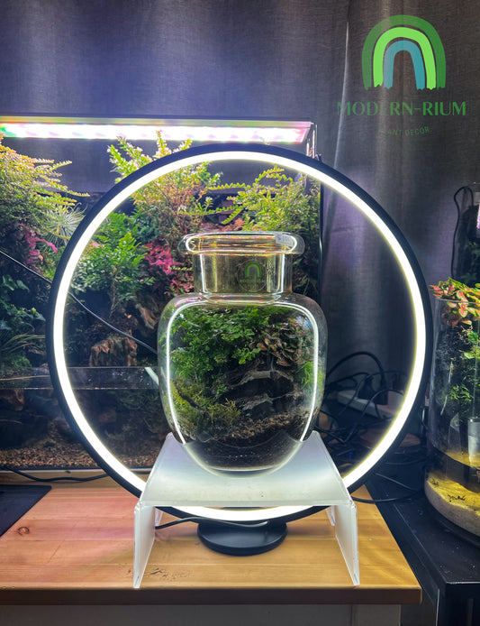 Terrarium light 360 degree