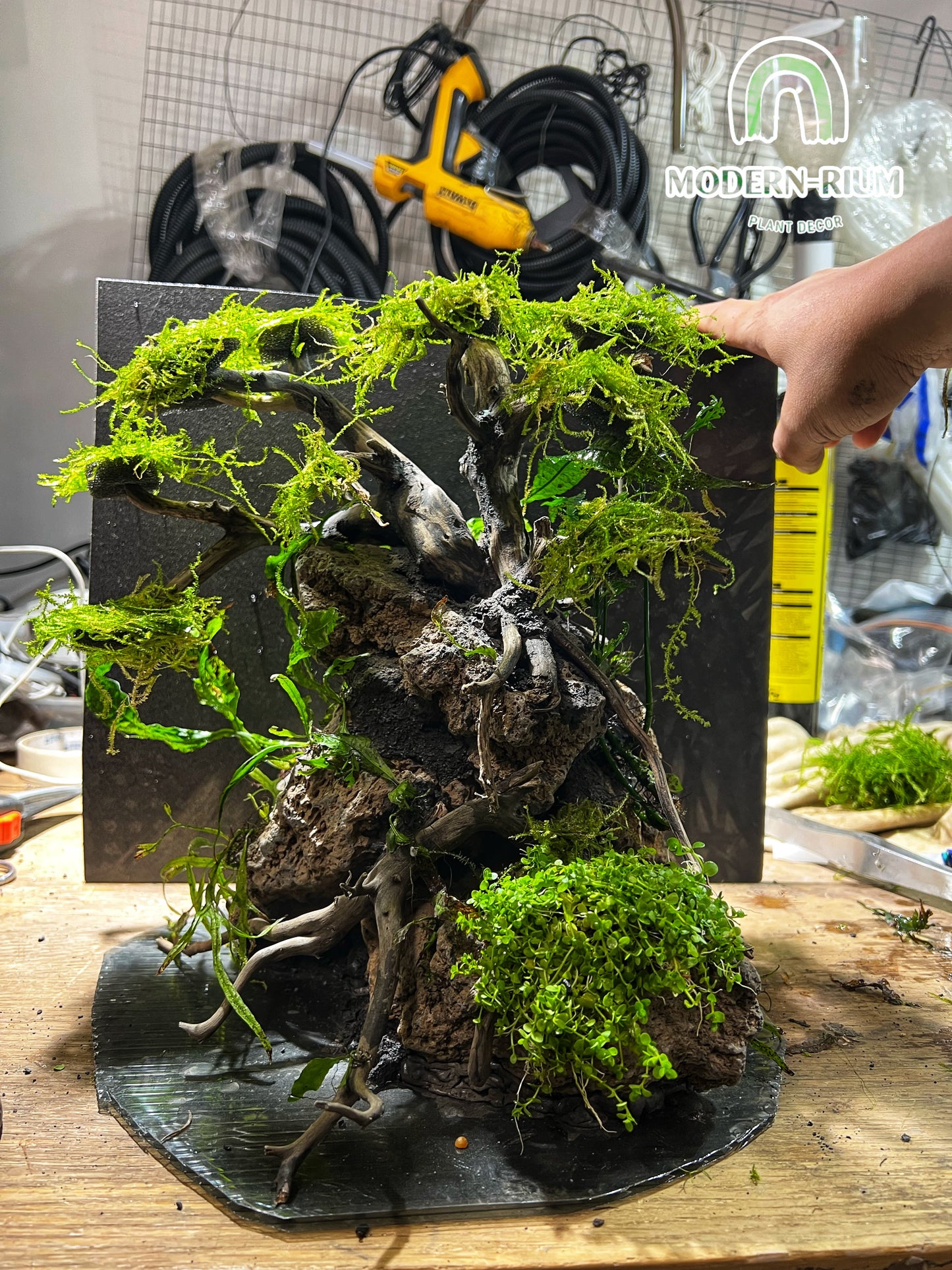 Bonsai Scape - Aquarium Module - Diorama Style