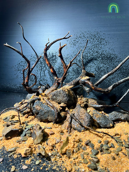 Dark Forest Scape - Aquarium Module Natural style