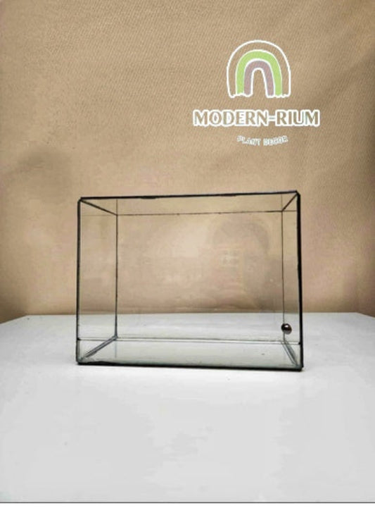 DIY Terrarium kit - Mossy Horizon