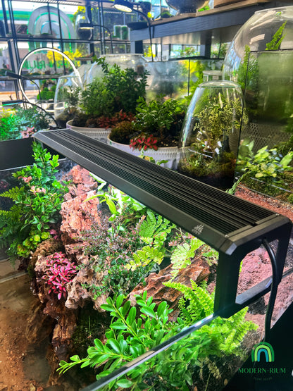 Week Aqua M Series Pro K RGB-UV B3.0 App controlled (Black Edition)