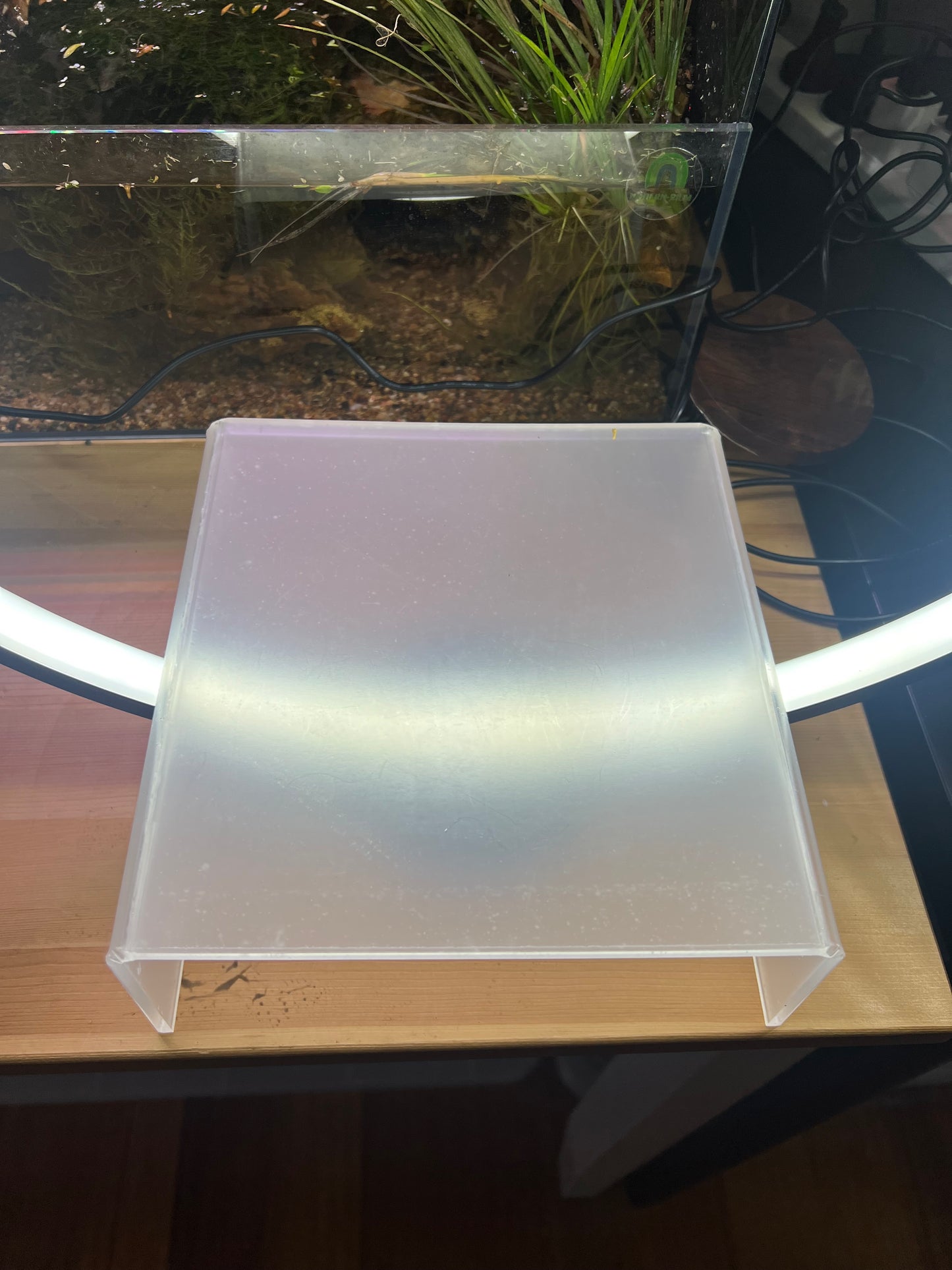 Terrarium light 360 degree