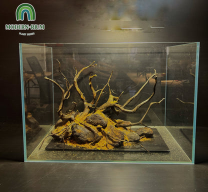 Dark Forest Scape - Aquarium Module Natural style