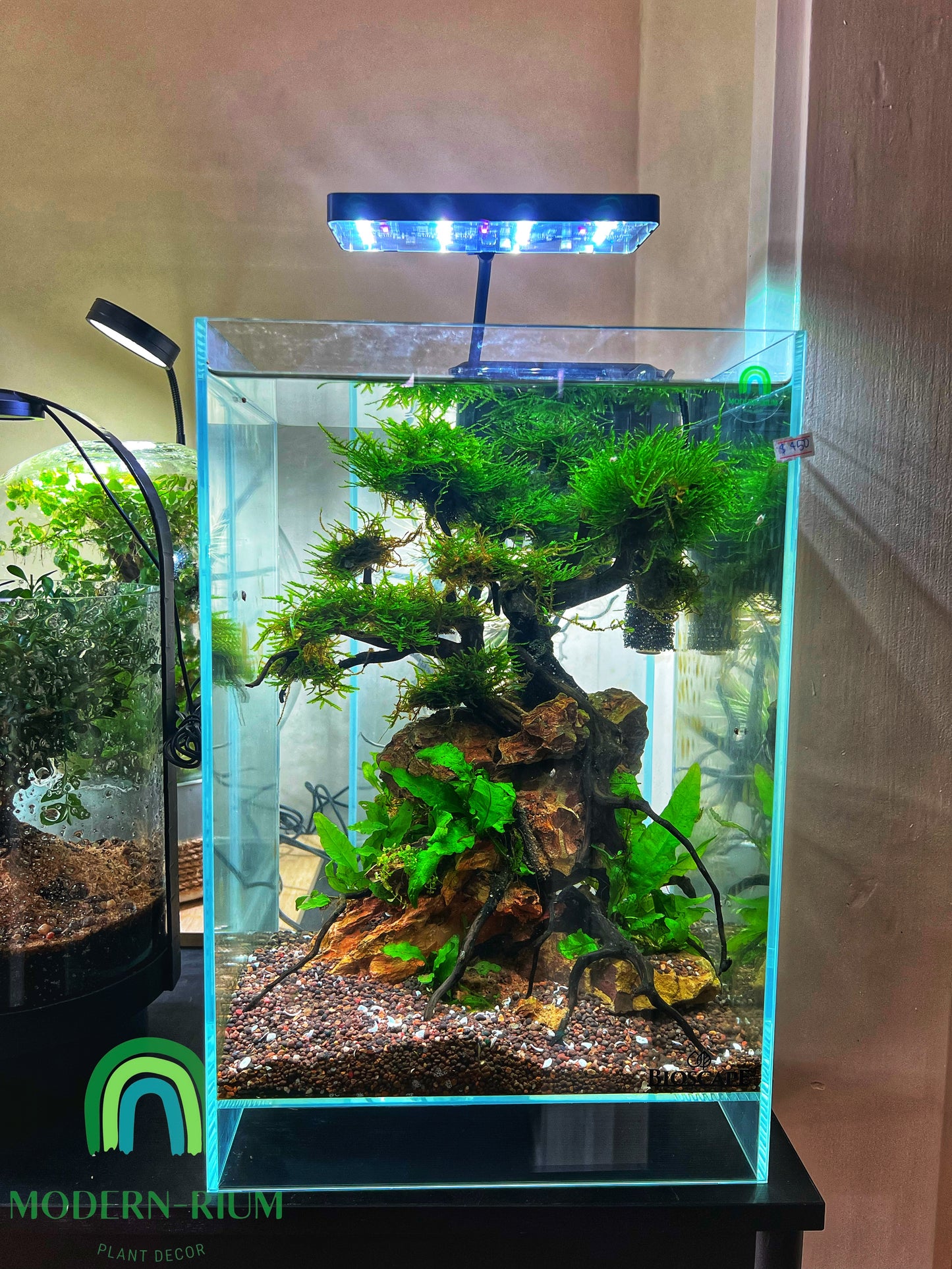 Bonsai Scape - Aquarium Module - Diorama Style