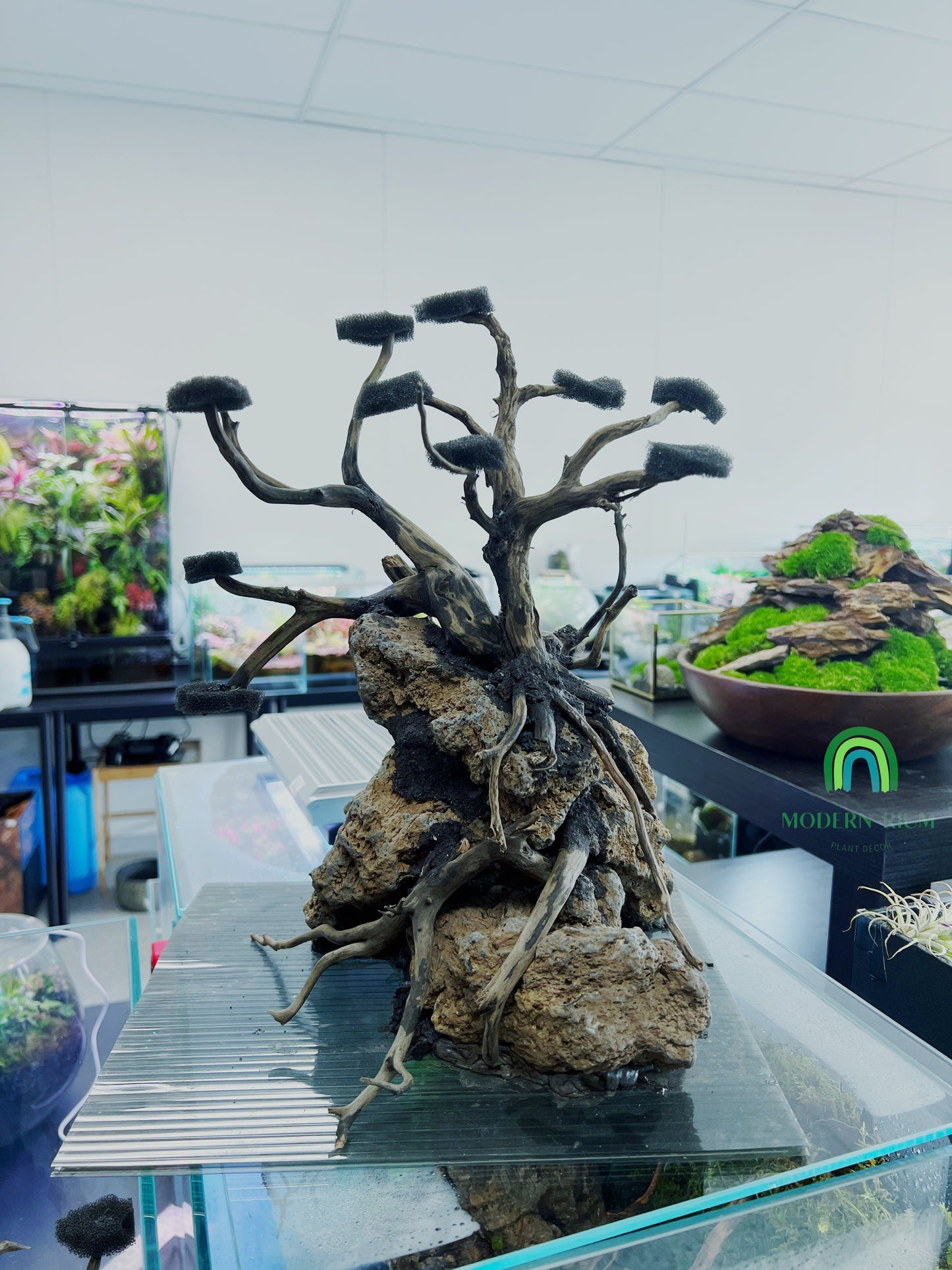 Bonsai Scape - Aquarium Module - Diorama Style