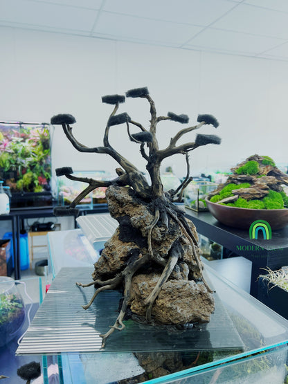 Bonsai Scape - Aquarium Module - Diorama Style