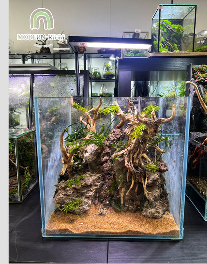 Elder Stone - Aquarium Module - Forest Style