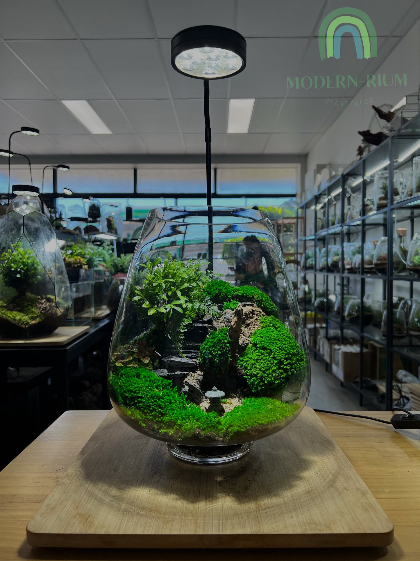 Japanese Zen Garden - EcoCourier Series - ready made terrarium Australia wide