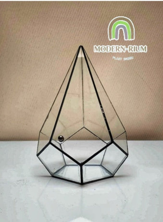 DIY Terrarium kit - Jewel of the Forest