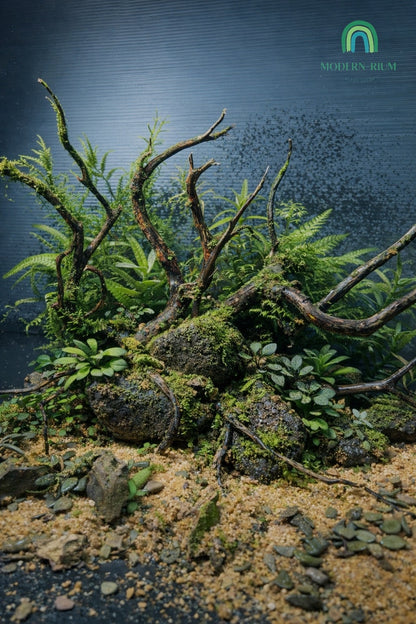Dark Forest Scape - Aquarium Module Natural style
