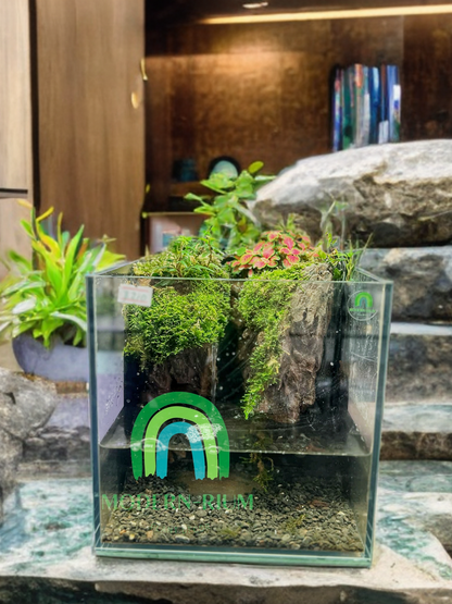 🌿 Verdant Falls – Elevated Moss Paludarium