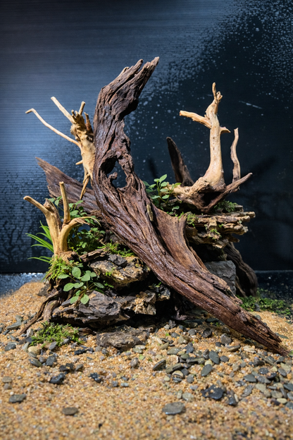 Aquarium Module -  River Flow - Natural Style