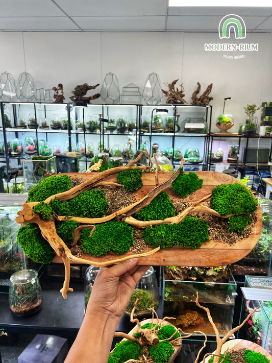 Wood Flow - 3D Wall scape - Zero maintenance