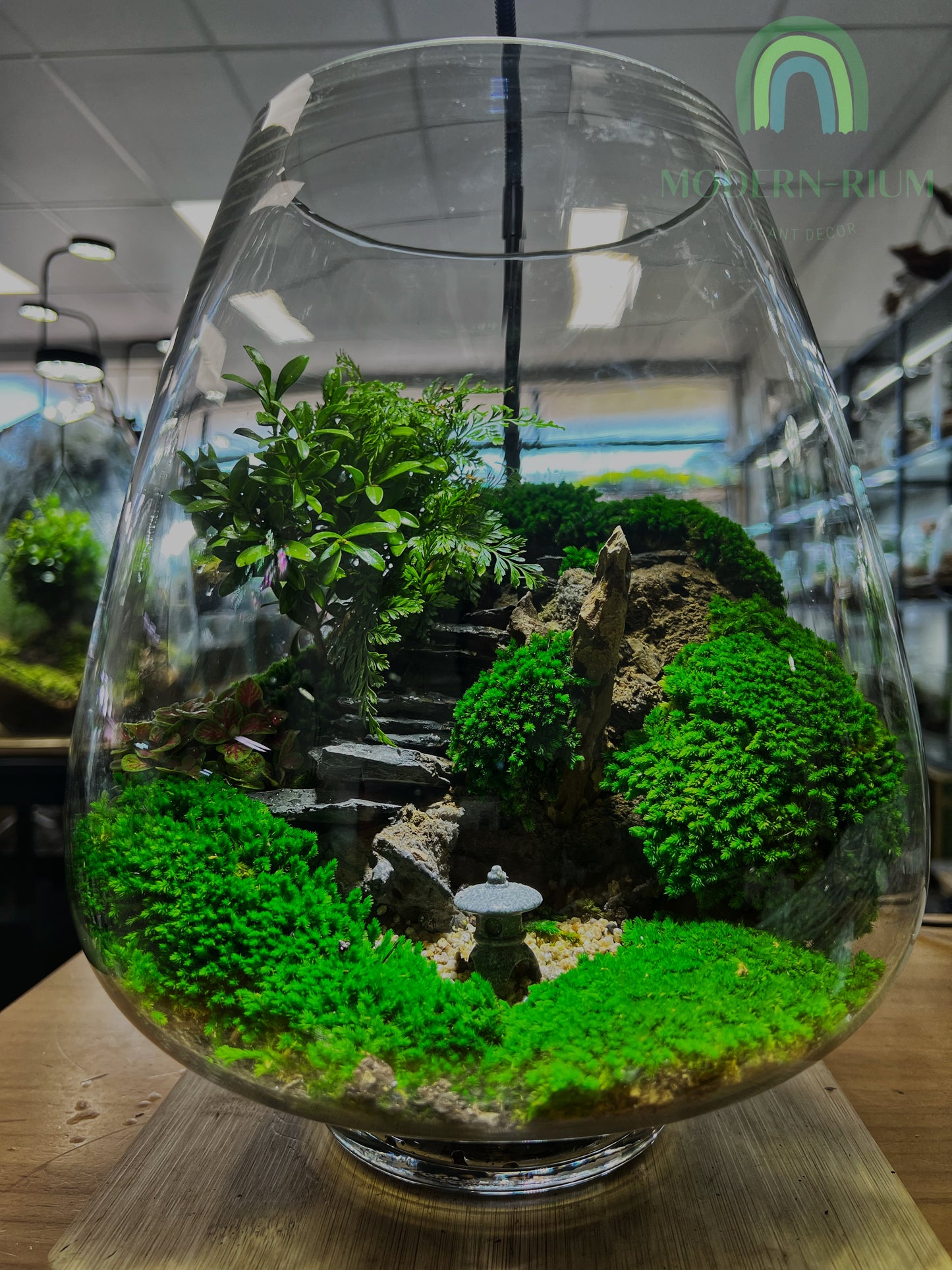 Japanese Zen Garden - EcoCourier Series - ready made terrarium Australia wide