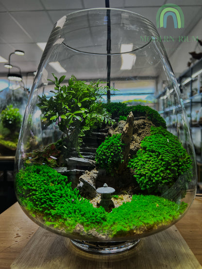 Japanese Zen Garden - EcoCourier Series - ready made terrarium Australia wide