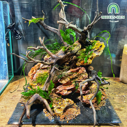 Cliffside - Aquarium Module - Diorama Style