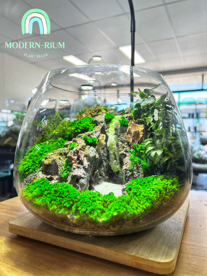 Paradise Waterfall - EcoCourier Series - ready made terrarium Australia wide