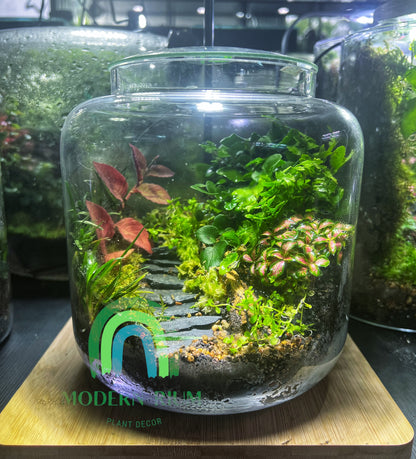 Round tropical terrarium