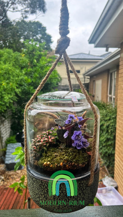 hanging terrarium with plants The hanging terrarium – modernrium
