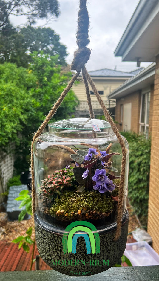 The hanging terrarium