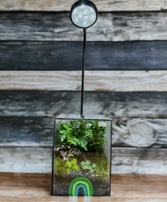 Echo of Eden – Vertical Terrarium in Forest Glass