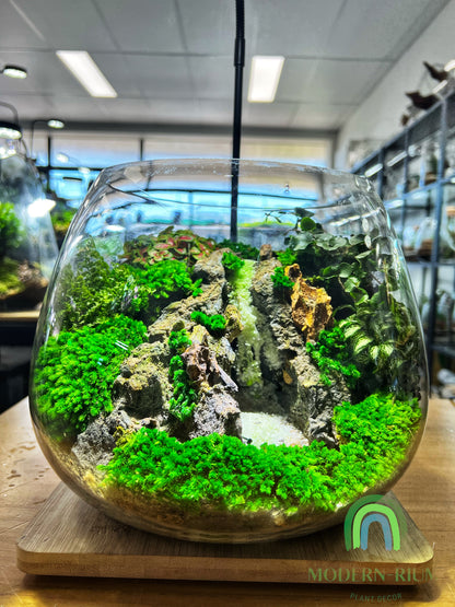Paradise Waterfall - EcoCourier Series - ready made terrarium Australia wide
