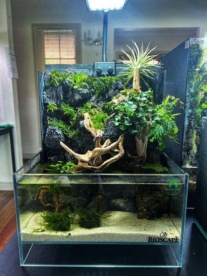 Paludarium waterfall tank Black Cliff