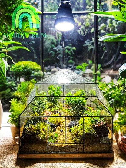 DIY Terrarium Kit 30x30x30 cm Glass Pavilion