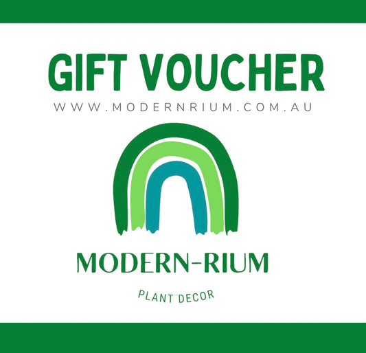 Modernrium Gift Voucher