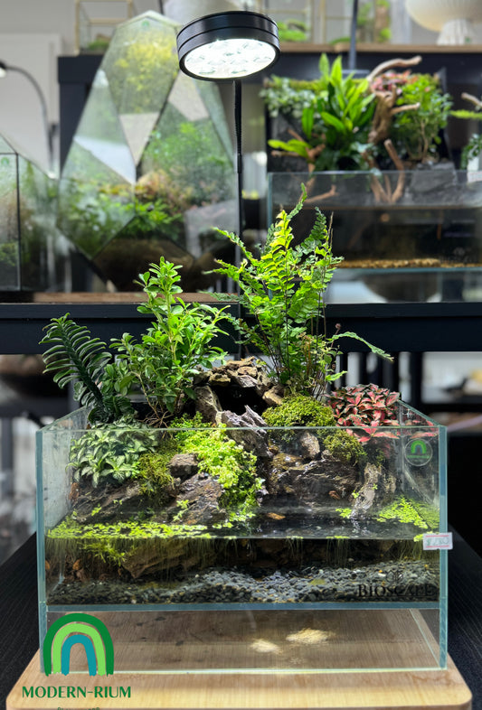 “Verdant Cascade” Stream tank