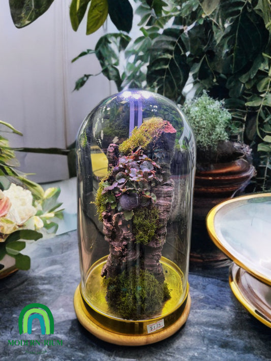 Enchanted Monolith - Domed terrarium