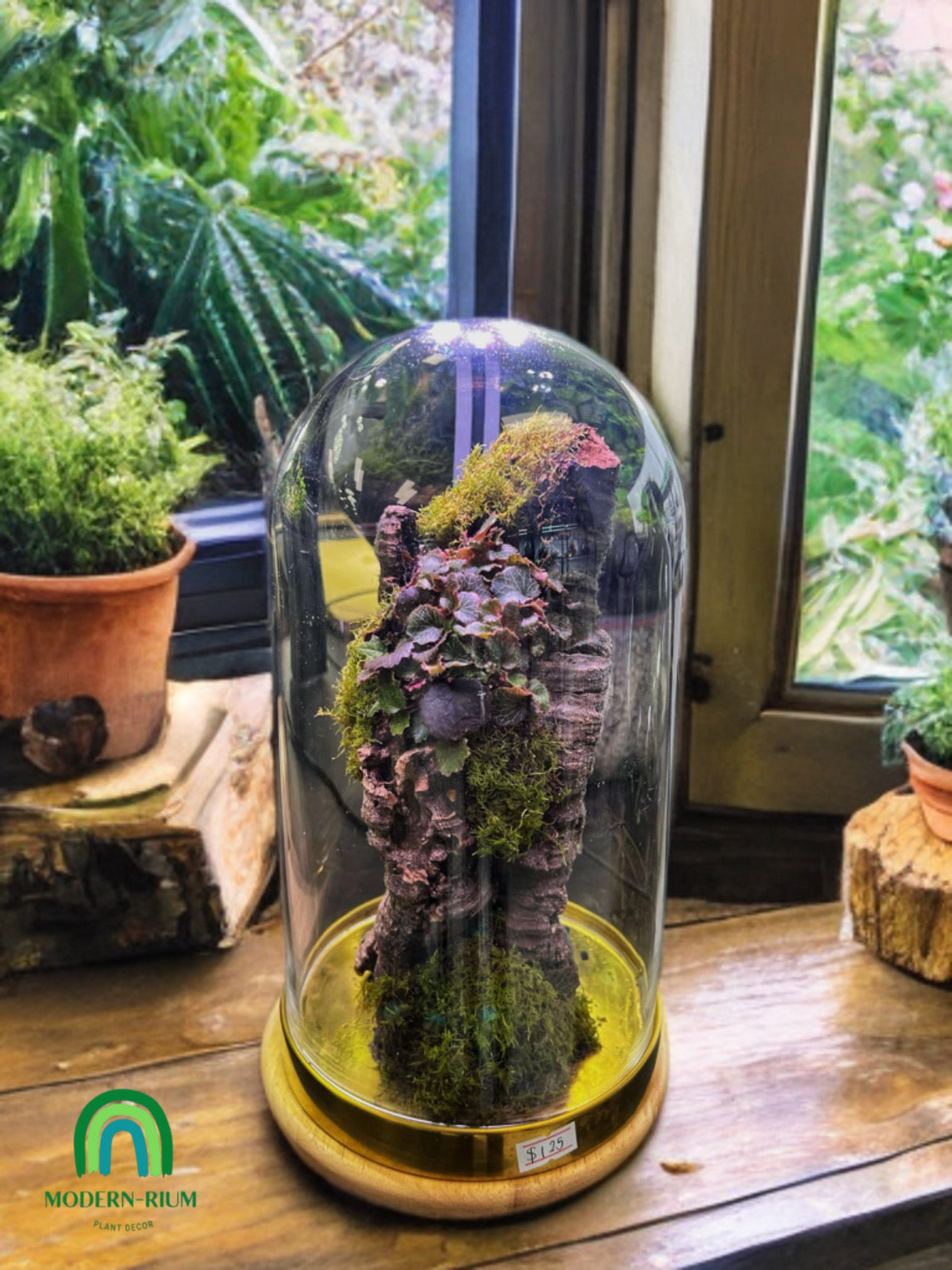 Enchanted Monolith - Domed terrarium