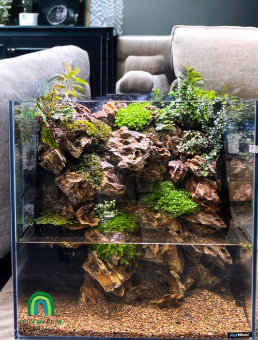 “Stonehaven Falls” paludarium