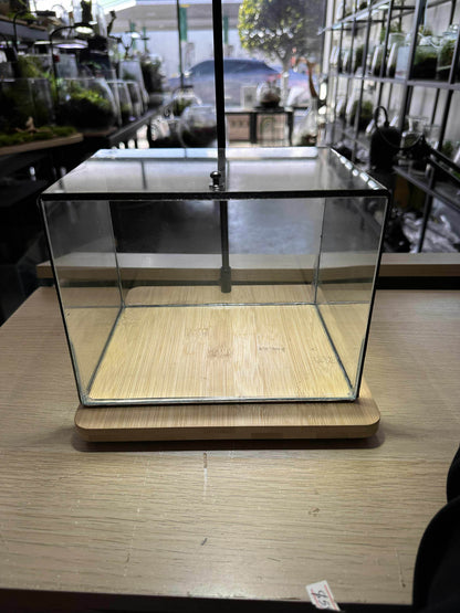 DIY Terrarium Kit 20x15x15cm