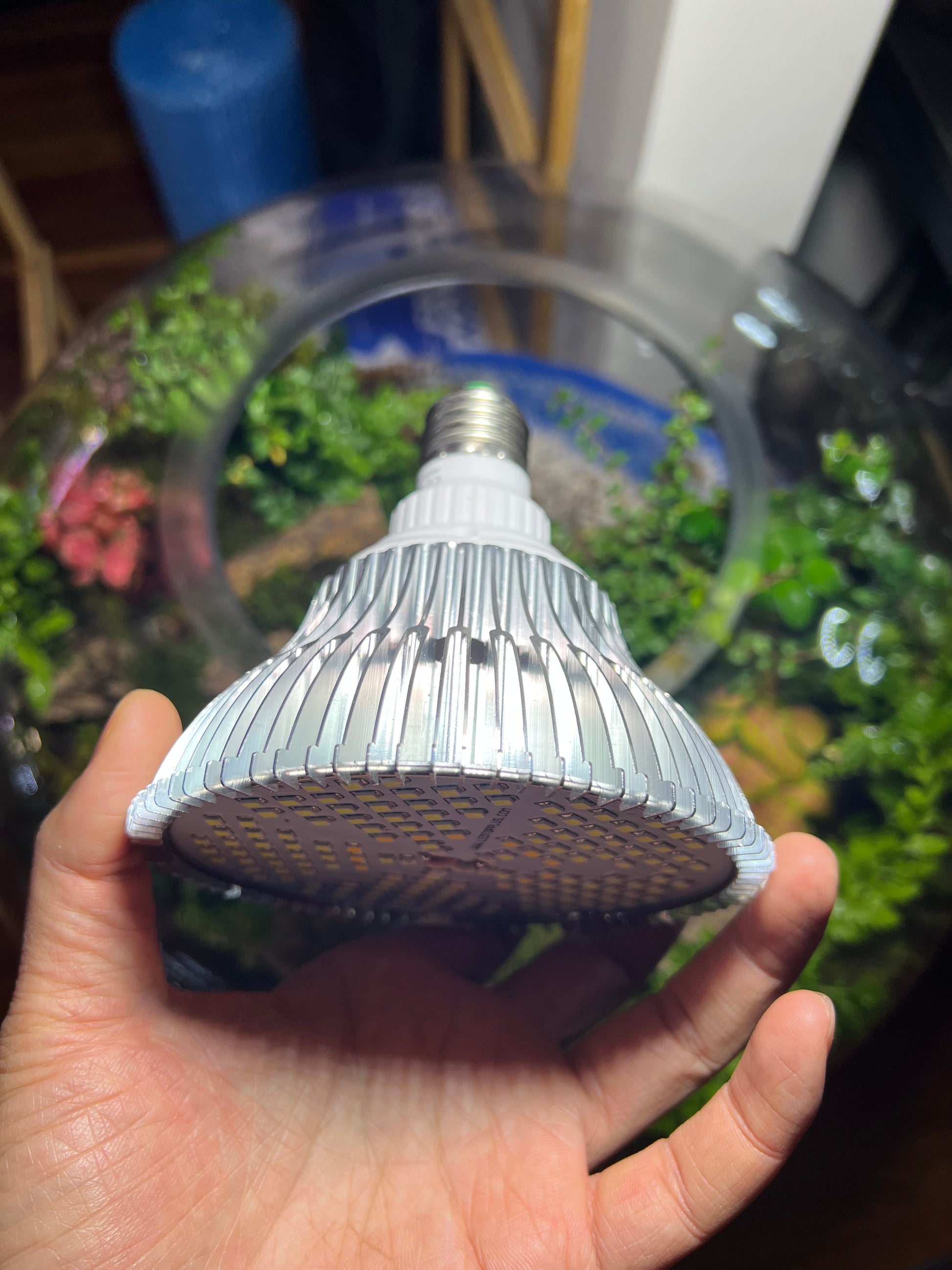 screw in grow light bulbs Natural light colour - Grow light Bulb 100W E27 (Screw Standard)