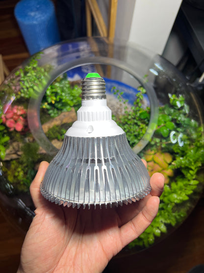 Natural light colour  - Grow light Bulb 100W E27 (Screw Standard)