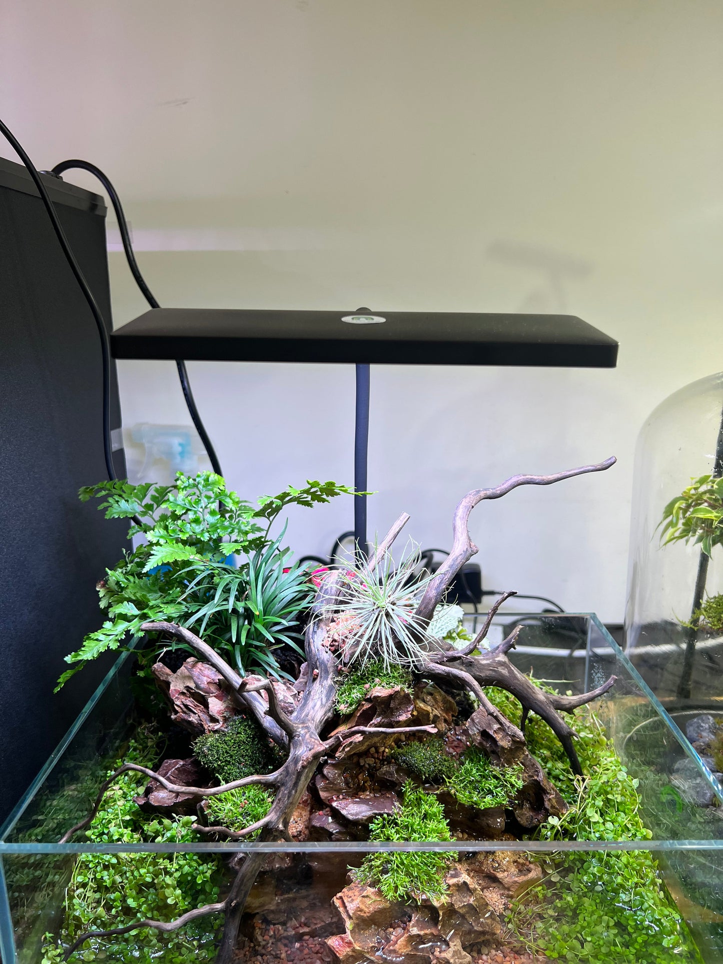 Frok RBG 18W Aquarium/ terrarium/ Paludarium light