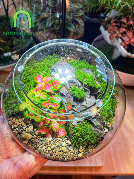 UFO terrarium