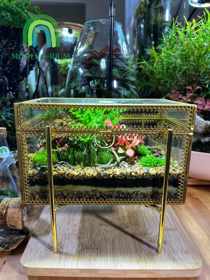 Serene Beauty Enclosed: Terrarium 20x17x17 - A Captivating Miniature World