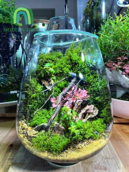 Terrarium Mosswall Mushroom Bowl