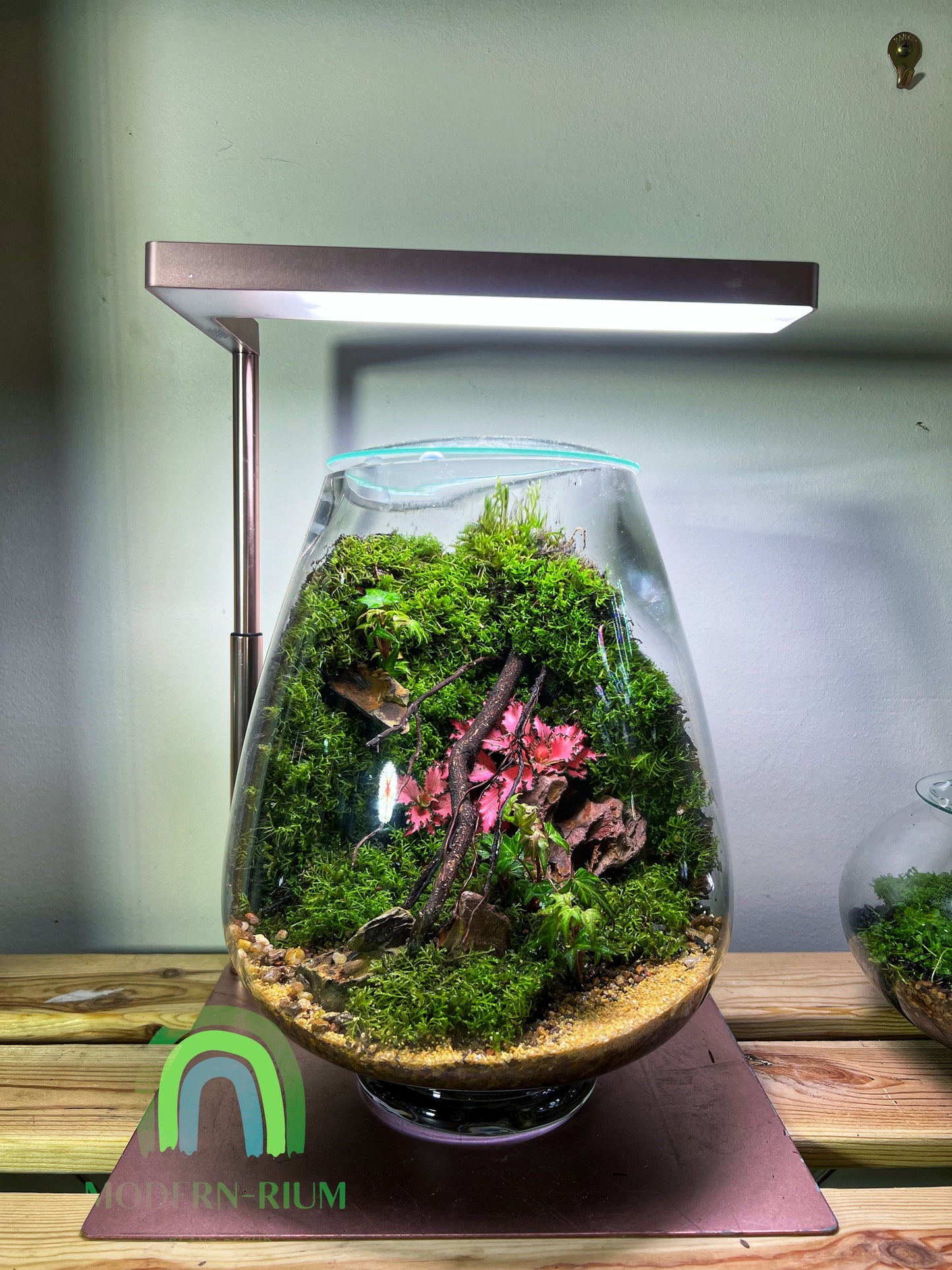 Terrarium Mosswall Mushroom Bowl