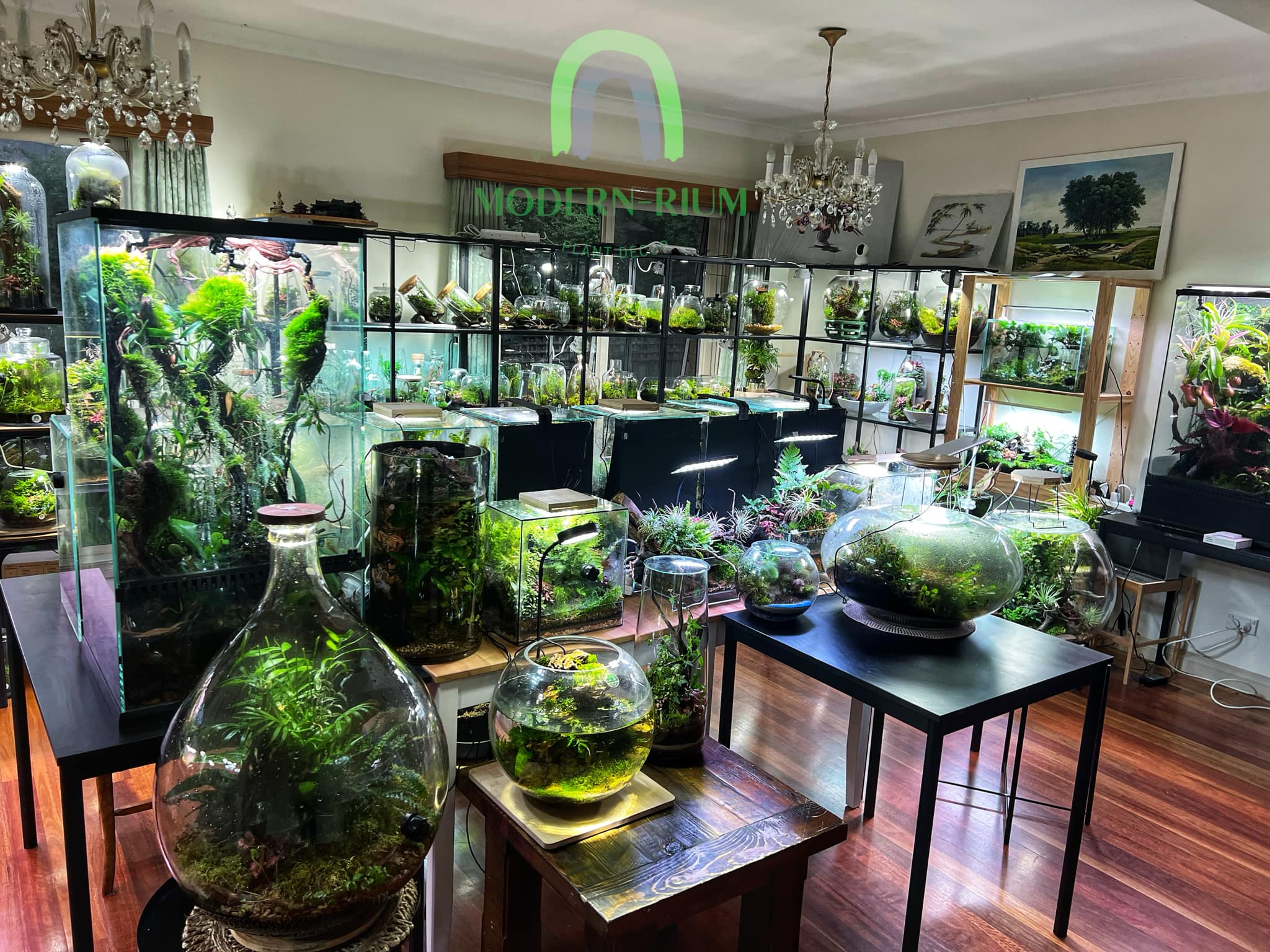 A Modernrium store with a selection of terrariums