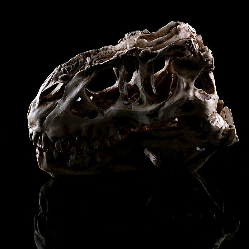 Resin dinosaur skull ornament detail