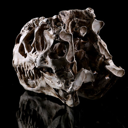 Resin dinosaur skull ornament detail