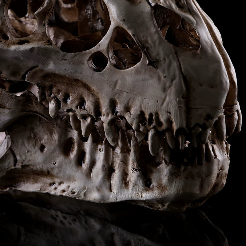 Resin dinosaur skull ornament detail