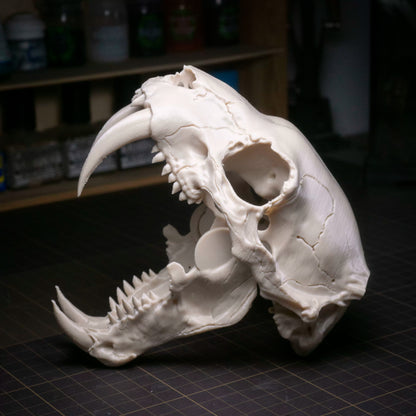 Sabre-tooth tiger skull ornament detail